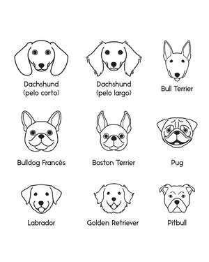 Collar Personalizable Chila Dog Lovers - Bangili