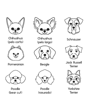 Collar Personalizable Chila Dog Lovers - Bangili