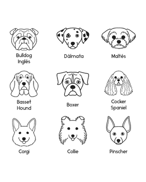 Collar Personalizable Chila Dog Lovers - Bangili
