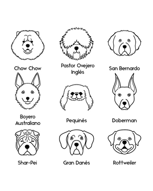 Collar Personalizable Chila Dog Lovers - Bangili