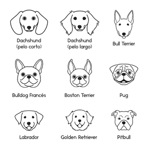 Collar Dog Lovers - Bangili