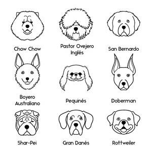 Collar Dog Lovers - Bangili