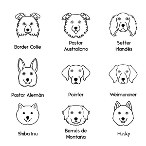 Collar Dog Lovers + Nombre - Bangili
