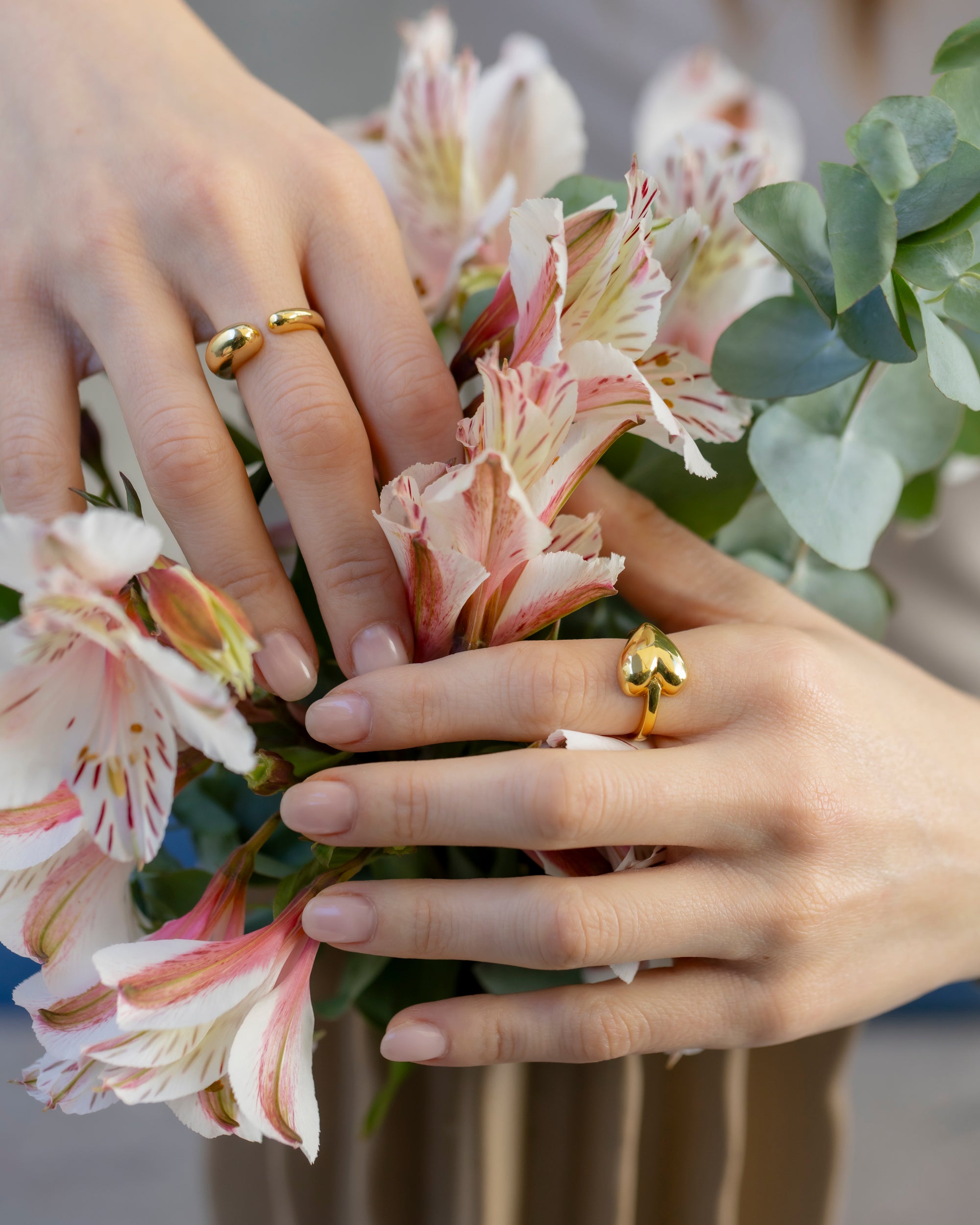 Anillos