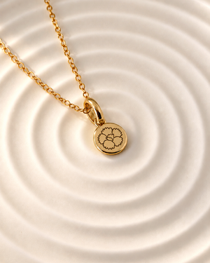 Birth Flower Necklace | Enero (Clavel)