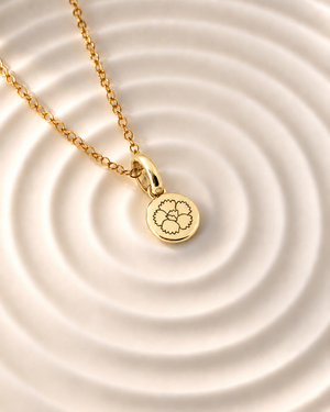 Gold Birth Flower Necklace | Enero (Clavel)