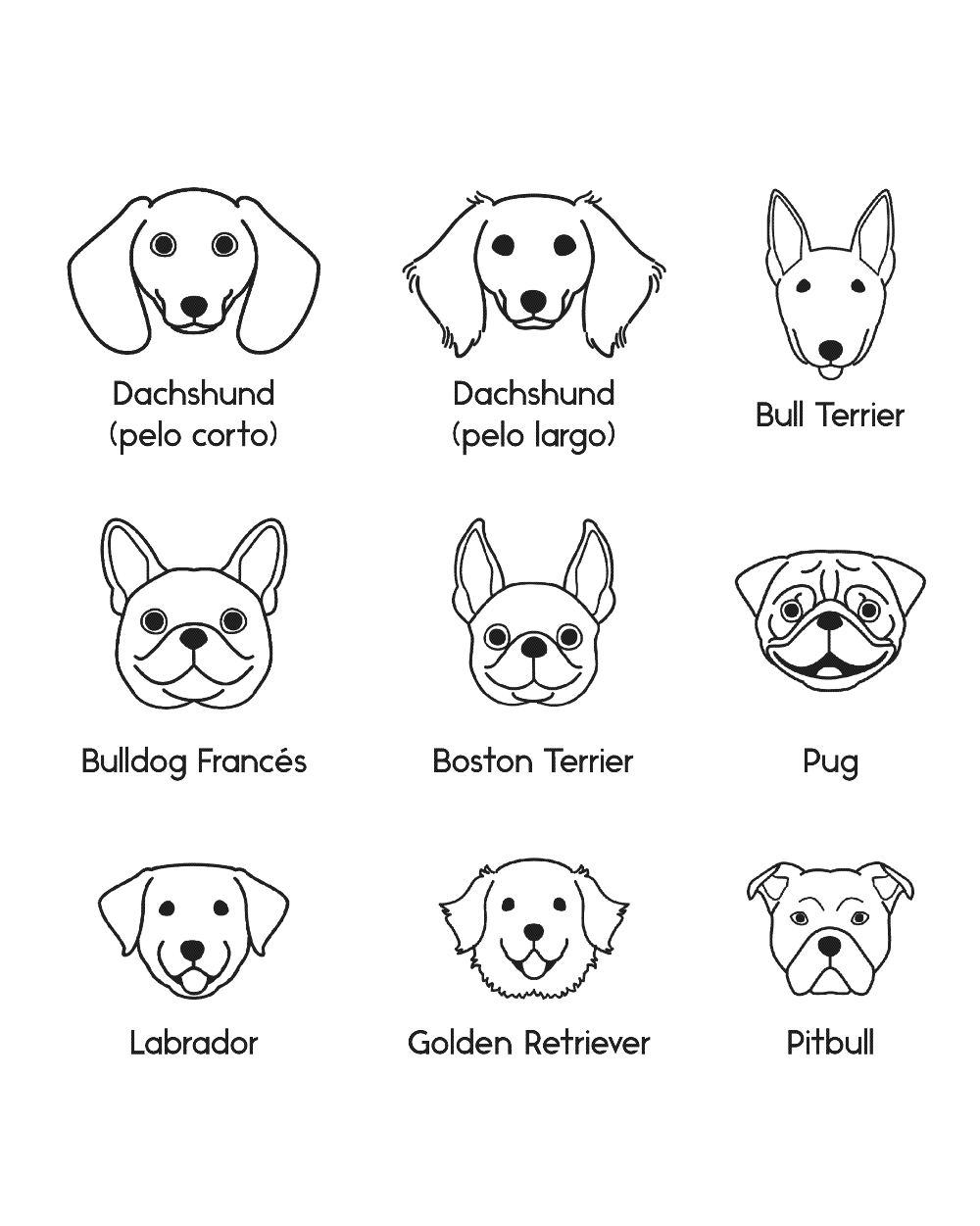 Collar Personalizable Chila Dog Lovers - Bangili