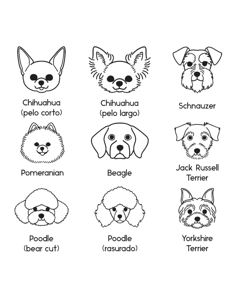 Collar Personalizable Chila Dog Lovers - Bangili