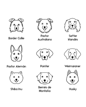 Collar Personalizable Chila Dog Lovers