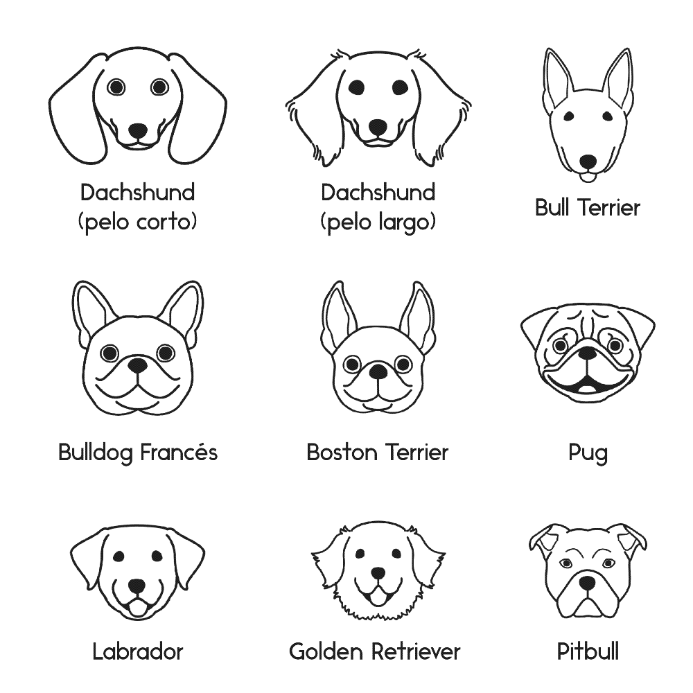 Collar Dog Lovers + Nombre - Bangili