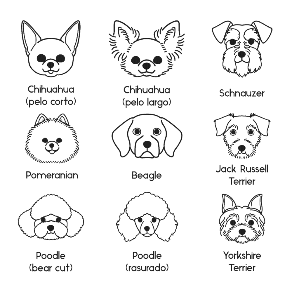 Collar Dog Lovers + Nombre - Bangili