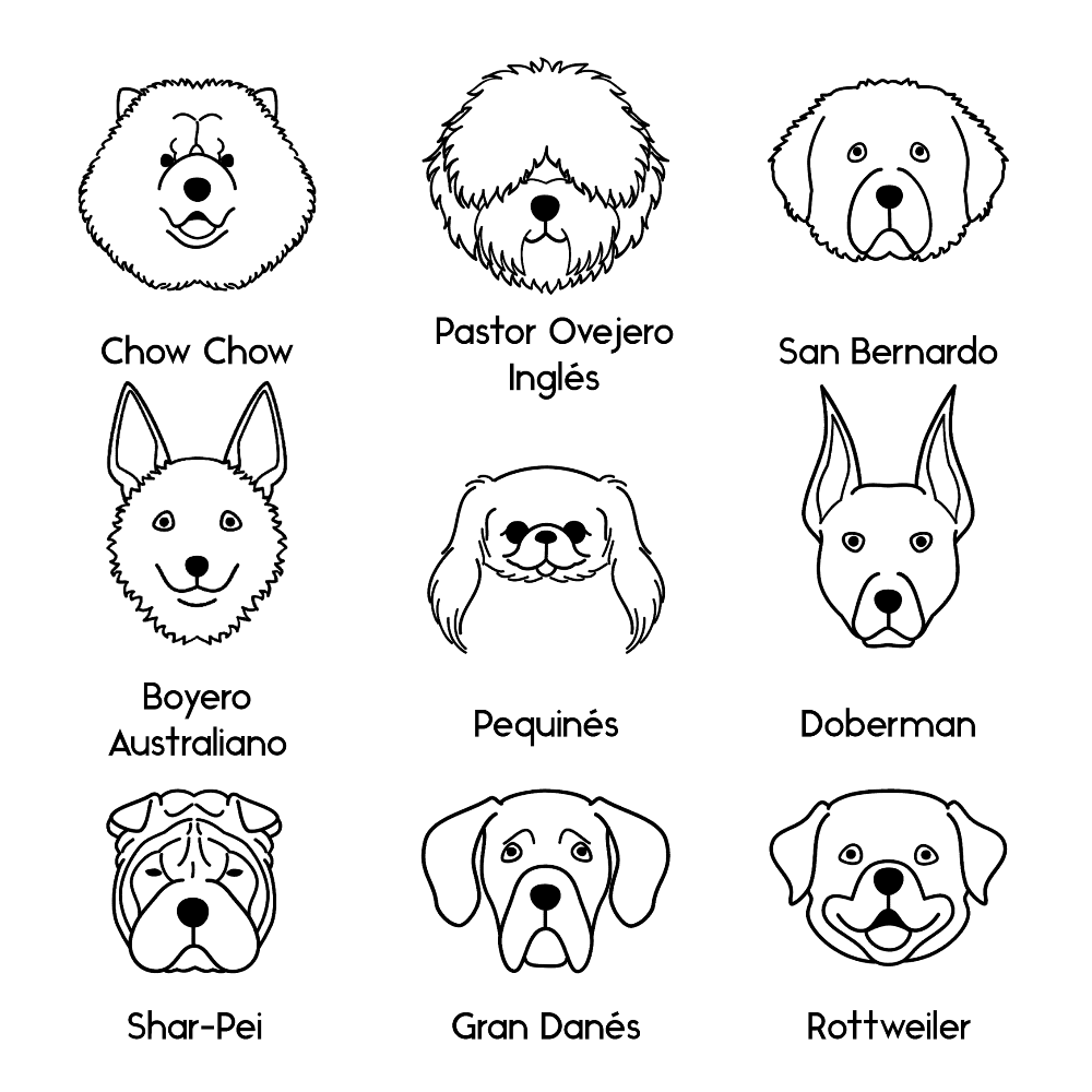 Collar Dog Lovers - Bangili