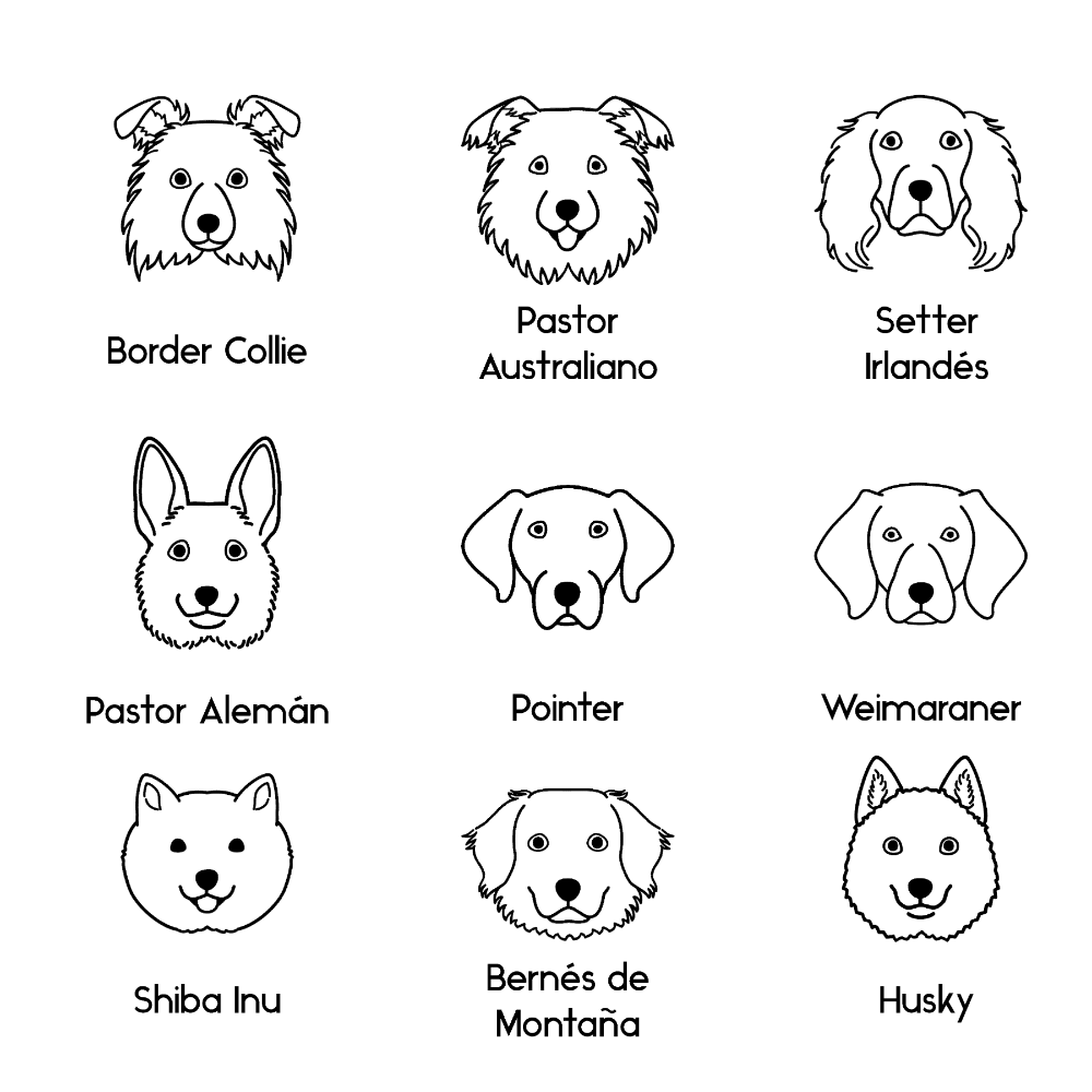 Collar Dog Lovers + Nombre - Bangili